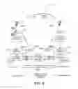 Fig. 06 - Interoperable financial transactions via mobile devices