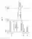 Fig. 05 - Method of operating payment device for selectively enabling payment function according to validity of host