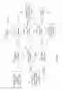 Fig. 13 - SECURE AUTHENTICATION AND PAYMENT SYSTEM