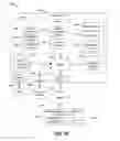 Fig. 20 - Three-dimensional authentication and identification methods, devices, and systems