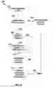 Fig. 11 - TRACKING INTERACTION WITH SPONSORED AND UNSPONSORED CONTENT
