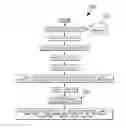 Fig. 01 - SYSTEM AND METHOD FOR MANAGING MULTIMEDIA SALES PROMOTIONS