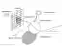 Fig. 01 - APPARATUS FOR AND METHOD OF TRAVERSING TREE