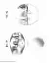 Fig. 05 - Image management apparatus and system, and method for controlling display of captured image