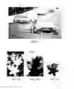 Fig. 07 - Information Handling System Defocus Tracking Video