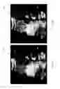 Fig. 07 - Systems and methods for selective enhancement of a region of interest in an image