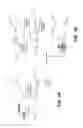 Fig. 04 - Device and method for depth image dequantization