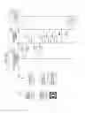 Fig. 22 - Control method and storage medium for searching medical images similar to a target image