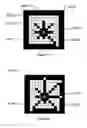 Fig. 12 - Method for the automatic segmentation and quantification of body tissues