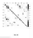 Fig. 10 - Assessing risk of breast cancer recurrence