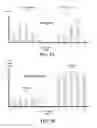 Fig. 04 - Histogram-based image segmentation