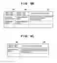 Fig. 11 - Information processing apparatus to display an individual input region for individual findings and a group input region for group findings