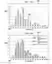 Fig. 23 - Image-based analysis of a geological thin section