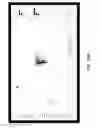 Fig. 32 - Systems and methods for data visualization using three-dimensional displays