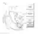 Fig. 01 - ADJUSTABLE DEPTH ANATOMICAL SHELL EDITING