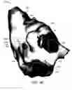 Fig. 06 - Systems and methods for anatomical shell editing