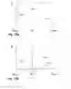 Fig. 13 - APPARATUS AND METHOD