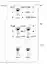 Fig. 21 - Gaming machine, control method for machine, and program for gaming machine with symbol animation across triggered games