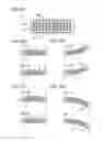 Fig. 03 - Circuit board and display system