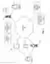 Fig. 02 - Intelligent contextually aware digital assistants