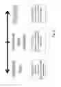 Fig. 09 - Automatic generation of video from structured content