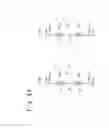 Fig. 05 - Memory cell structure of magnetic memory with spin device elements
