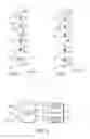 Fig. 03 - Circuit and method for controlling MRAM cell bias voltages