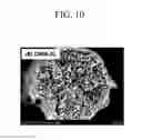 Fig. 09 - CONDUCTIVE COMPOSITES AND COMPOSITIONS FOR PRODUCING THE SAME, AND PRODUCTION METHODS THEREOF