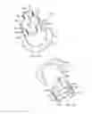 Fig. 05 - Two-part snap-together feedthroughs