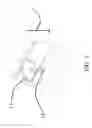 Fig. 03 - Magnetic band and associated methods thereof