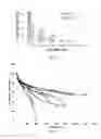 Fig. 03 - Ultracapacitor with improved aging performance