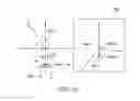 Fig. 16 - Sample positioning method and charged particle beam apparatus