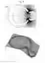 Fig. 04 - Ion guide