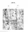 Fig. 16 - Method for manufacturing a semiconductor material including a semi-polar III-nitride layer