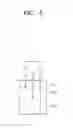 Fig. 06 - Image sensor including color separation element and image pickup apparatus including the image sensor