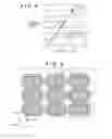 Fig. 09 - Solid-state image sensor, method of manufacturing the same, and camera
