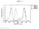 Fig. 06 - Display