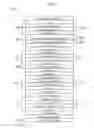 Fig. 02 - Optoelectric devices comprising hybrid metamorphic buffer layers