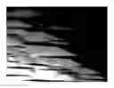 Fig. 01 - Surface morphology of non-polar gallium nitride containing substrates