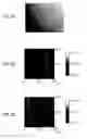 Fig. 07 - Surface morphology of non-polar gallium nitride containing substrates