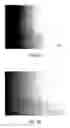 Fig. 09 - Surface morphology of non-polar gallium nitride containing substrates