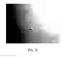 Fig. 14 - Surface morphology of non-polar gallium nitride containing substrates