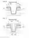 Fig. 11 - Semiconductor light emitting element and method of producing the same