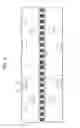 Fig. 02 - Light emitting device and wiring board thereof