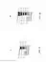 Fig. 09 - Multiple impedance correlated electron switch fabric