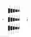 Fig. 11 - Multiple impedance correlated electron switch fabric