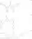 Fig. 61 - COMPOSITION FOR ORGANIC OPTOELECTRONIC DEVICE, ORGANIC OPTOELECTRONIC DEVICE AND DISPLAY DEVICE