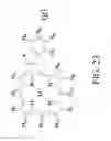 Fig. 31 - Fusing porphyrins with polycyclic aromatic hydrocarbons and heterocycles for optoelectronic applications
