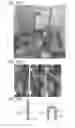 Fig. 26 - Peeling method using separating peeling layer and layer to be peeled