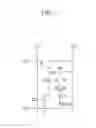 Fig. 04 - Display device with light transmission area